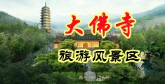 骚逼美女插逼中国浙江-新昌大佛寺旅游风景区